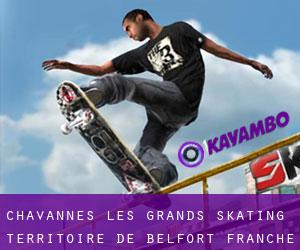 Chavannes-les-Grands skating (Territoire de Belfort, Franche-Comté)