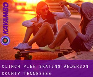 Clinch View skating (Anderson County, Tennessee)
