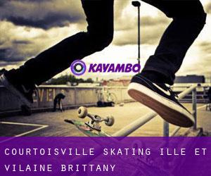 Courtoisville skating (Ille-et-Vilaine, Brittany)