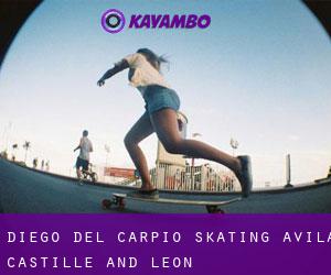 Diego del Carpio skating (Avila, Castille and León)