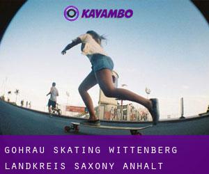 Gohrau skating (Wittenberg Landkreis, Saxony-Anhalt)