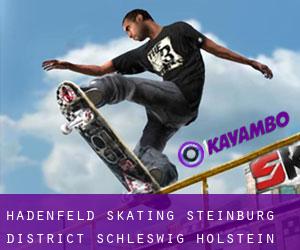 Hadenfeld skating (Steinburg District, Schleswig-Holstein)
