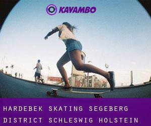 Hardebek skating (Segeberg District, Schleswig-Holstein)