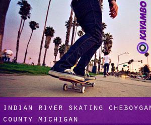 Indian River skating (Cheboygan County, Michigan)