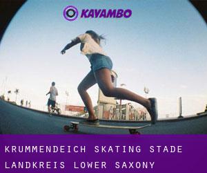 Krummendeich skating (Stade Landkreis, Lower Saxony)