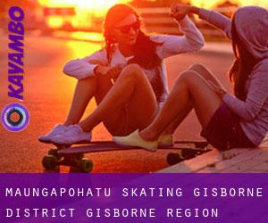 Maungapohatu skating (Gisborne District, Gisborne Region)
