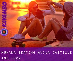 Muñana skating (Avila, Castille and León)