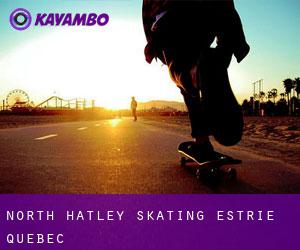 North Hatley skating (Estrie, Quebec)