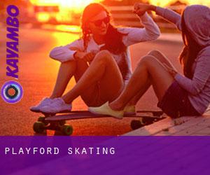 Playford skating