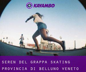 Seren del Grappa skating (Provincia di Belluno, Veneto)
