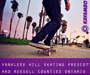 Vankleek Hill skating (Prescott and Russell Counties, Ontario)