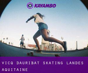Vicq-d'Auribat skating (Landes, Aquitaine)