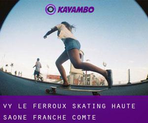 Vy-le-Ferroux skating (Haute-Saône, Franche-Comté)